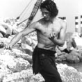 1990 Hung Gar