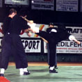 1993 Notte del Budo