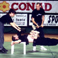 1993 Notte del Budo