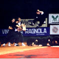 1993 Notte del Budo