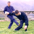 2004